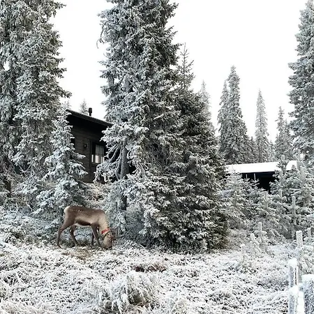 Naava Сasa de vacaciones *