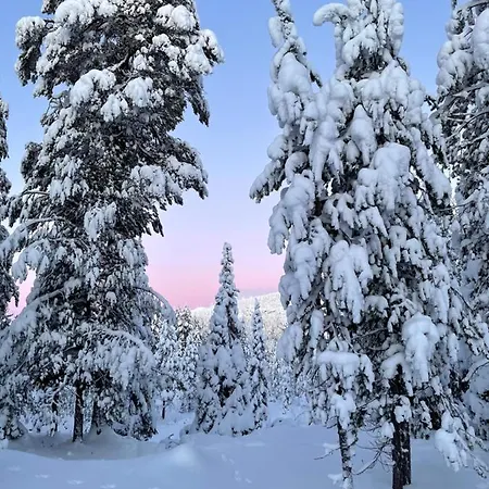 Chale Naava Tatil Evi