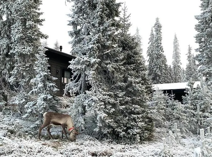 Chale Naava بيت للعطل *